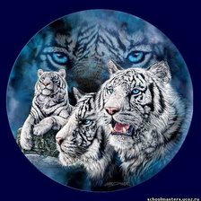 белые тигры