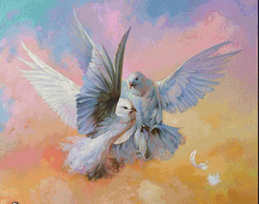 Голуби - птицы, природа - предпросмотр