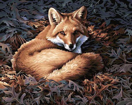 Лисичка - животные - оригинал