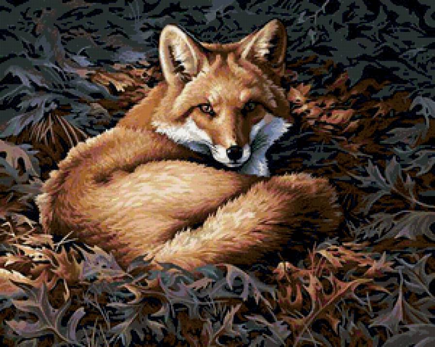 Лисичка - животные - предпросмотр