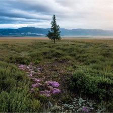 Схема вышивки «пейзаж»