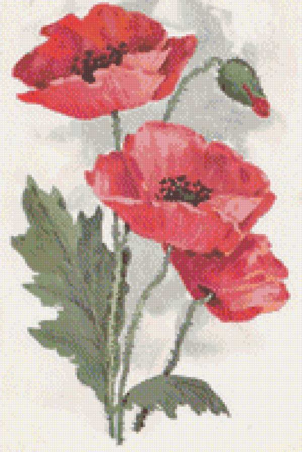 ретрооткрытки - маки, цветы, ретро, открытка, мак - предпросмотр