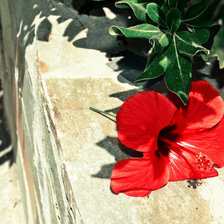 Схема вышивки «цветок»