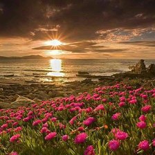 Схема вышивки «океан цветов»