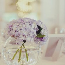 Схема вышивки «№690259»