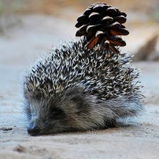 Схема вышивки «№690263»