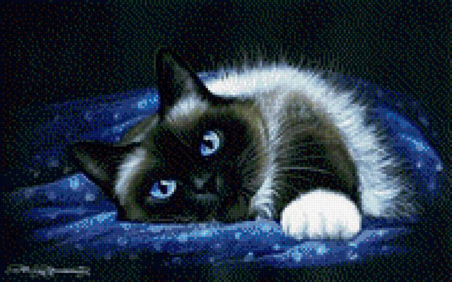 №690278 - котенок, животные, звери, кошки - предпросмотр