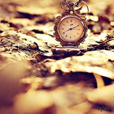 Схема вышивки «№690284»