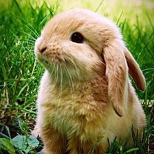 Схема вышивки «№690296»