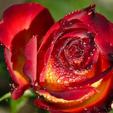 Схема вышивки «№690311»