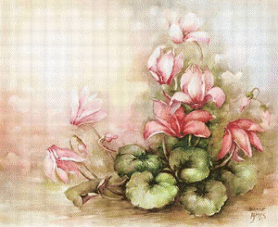 Цикламены - цикламены, цветы, букет, пастель - предпросмотр