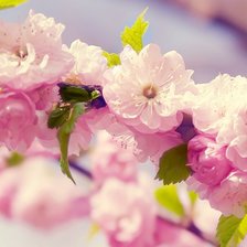 Схема вышивки «7»