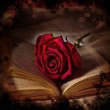 Схема вышивки «книга»