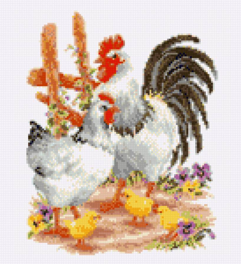 Rodinka - vtáctvo - предпросмотр