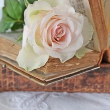 Схема вышивки «№690462»