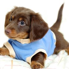 Схема вышивки «№690523»