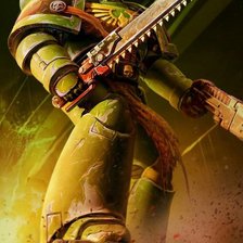 Схема вышивки «Саламандры»