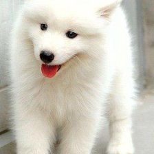 Схема вышивки «№690631»