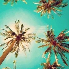 Схема вышивки «№690638»