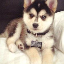 Схема вышивки «№690649»