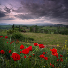 Схема вышивки «030715»