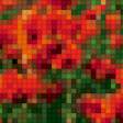 Предпросмотр схемы вышивки «Поле маков» (№690722)