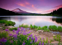 Схема вышивки «Пейзаж»