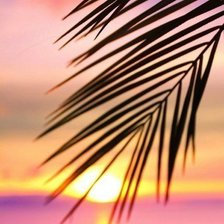 Схема вышивки «Закат»