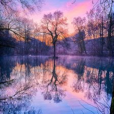 Схема вышивки «Дерево»