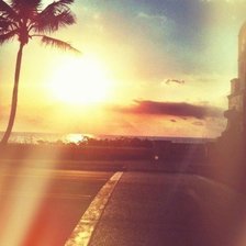 Схема вышивки «Пальма»