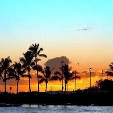 Схема вышивки «Палмы»