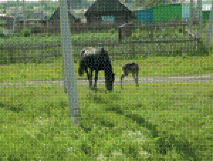 Деревня - предпросмотр