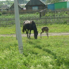 Схема вышивки «Деревня»