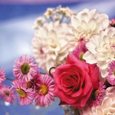 Цветочная композиция