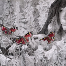 Схема вышивки «farfalle rosse 1»