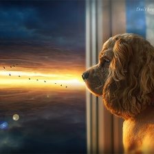 Схема вышивки «преданность»