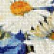Предпросмотр схемы вышивки «Ромашковое поле» (№691269)