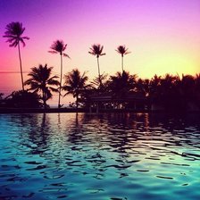 Схема вышивки «Палмы»