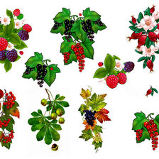 Схема вышивки «Ягодный микс»