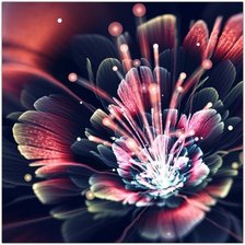 Схема вышивки «лучистый цветок»