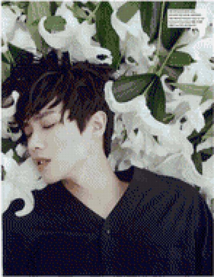 Ли Джун Эмблек - предпросмотр