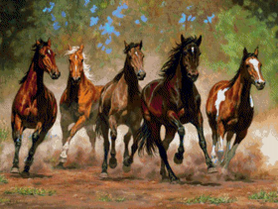 Chris Cimmings - konie - предпросмотр