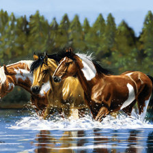 Victoria Wilson-Schultz