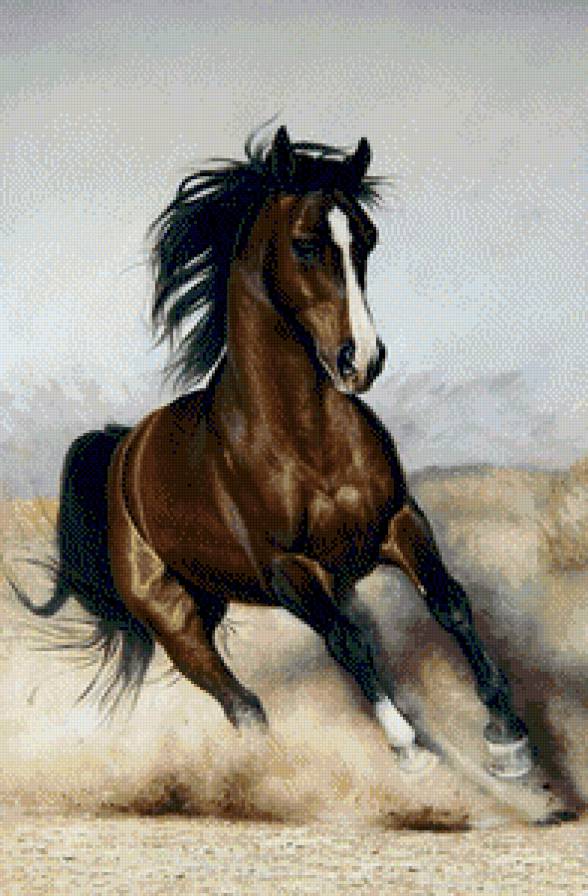 Bruno Tina - konie - предпросмотр