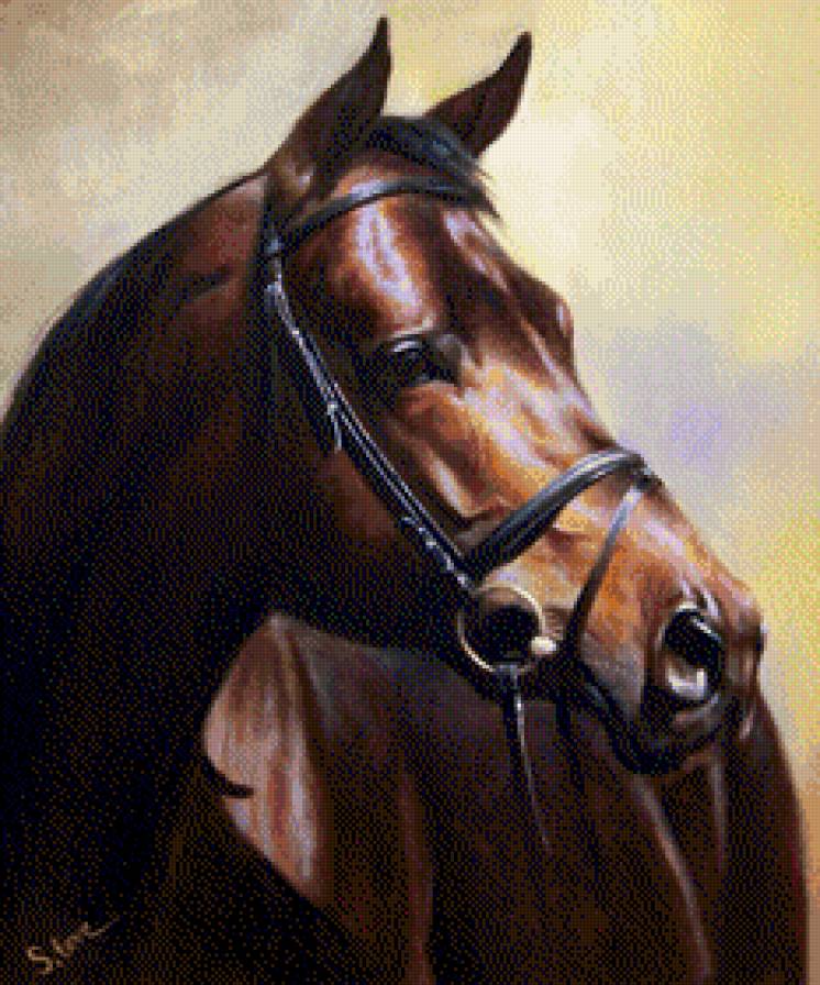 Tewerin Sara - konie - предпросмотр