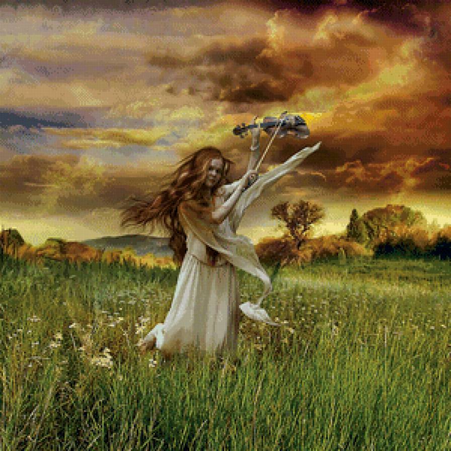 №691757 - девушка, закат, лето, скрипка, поле - предпросмотр