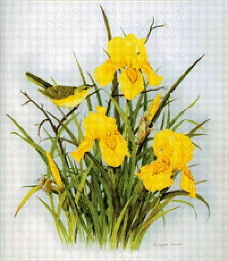 Ирисы и птичка - птицы, цветы, ирисы - предпросмотр