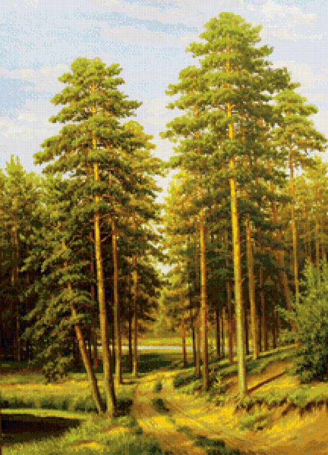 сосновый бор - природа, пейзаж, лес, озеро - предпросмотр