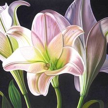 Схема вышивки «№691964»