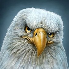 Схема вышивки «№691968»